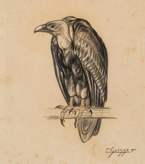 Gaston SUISSE (1896-1988) - Vautour