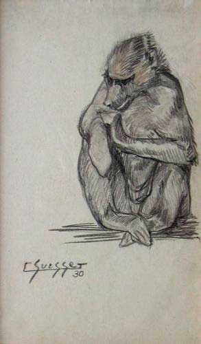 Babouin cherchant ses puces. 1930.