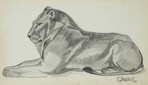 Lion couché. 1926.