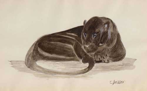 Panthères noire couchée, vers 1925.