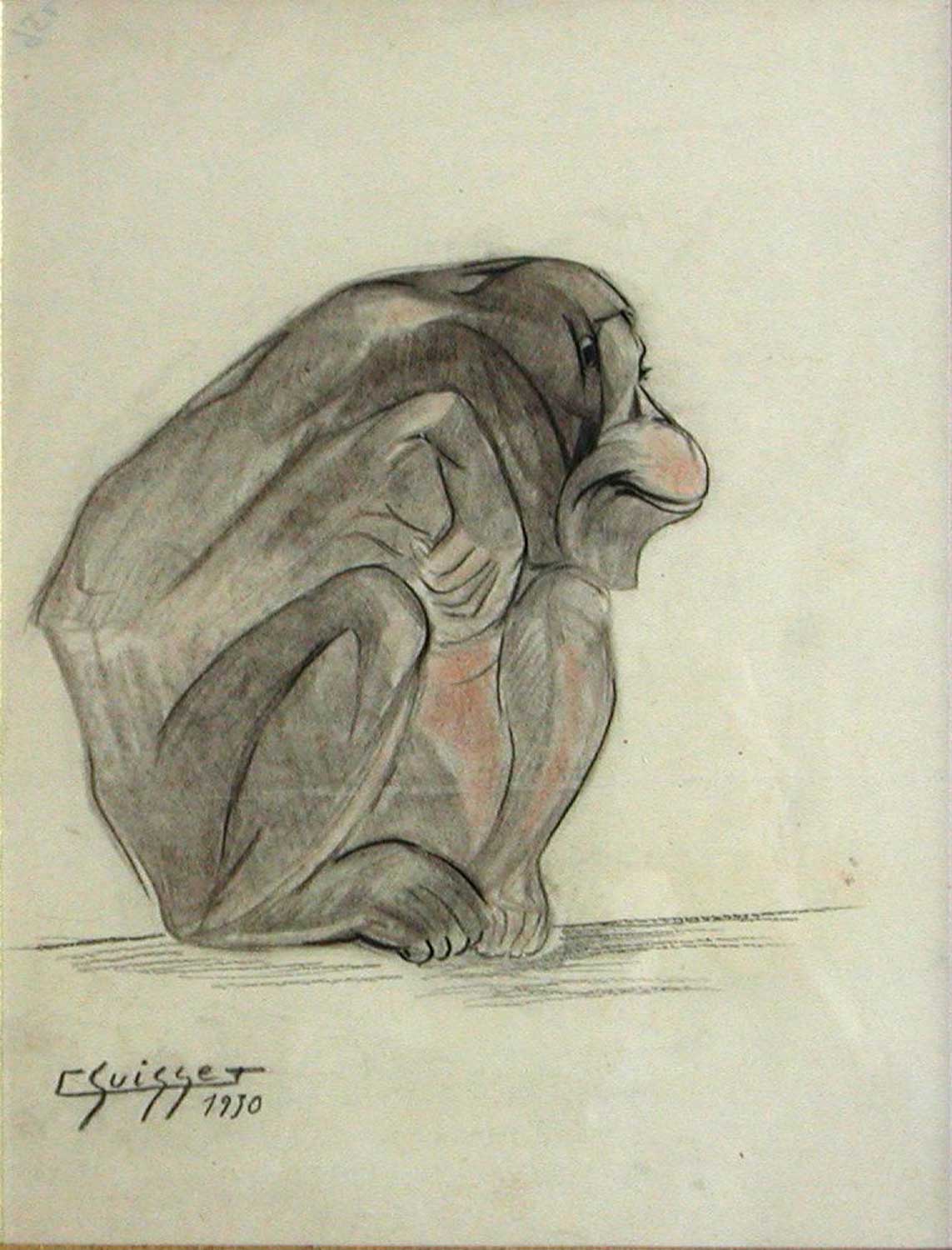 Jeune gorille de profil. 1930.