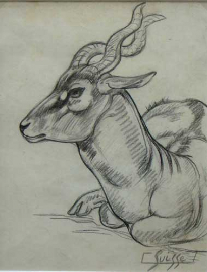 Gaston SUISSE (1896-1988) - Antilope cervicape.
