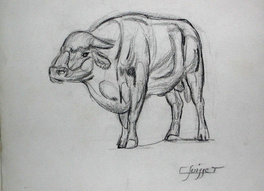 Gaston SUISSE (1896-1988) - Taureau.