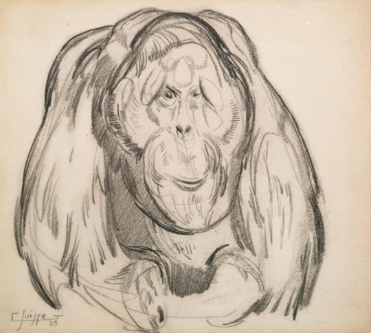 Gaston SUISSE (1896-1988) - Orang Outang