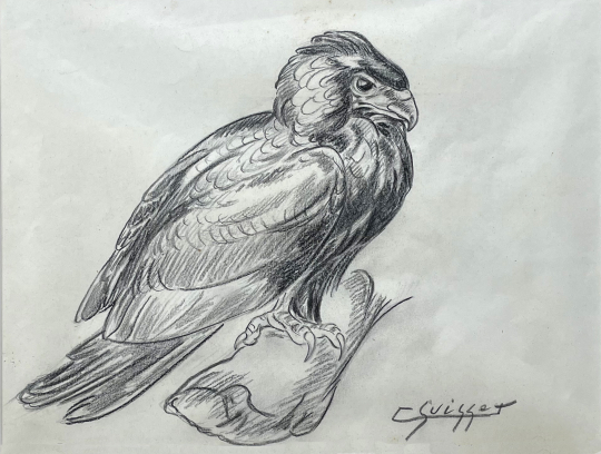 Gaston SUISSE (1896-1988) - Aigle bateleur de profil