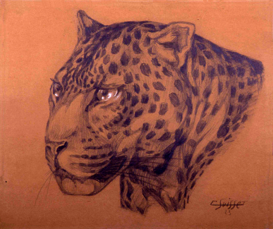 Gaston SUISSE (1896-1988) - Tête de panthère. 1923.
