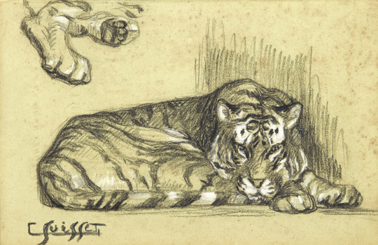 Gaston SUISSE (1896-1988) - Tigre couché et patte.