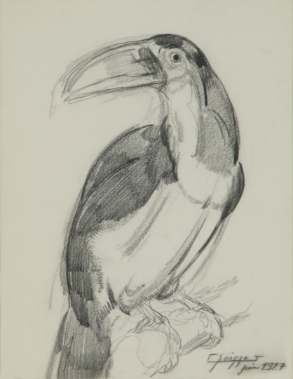 Gaston SUISSE (1896-1988) - Toucan. 1927.
