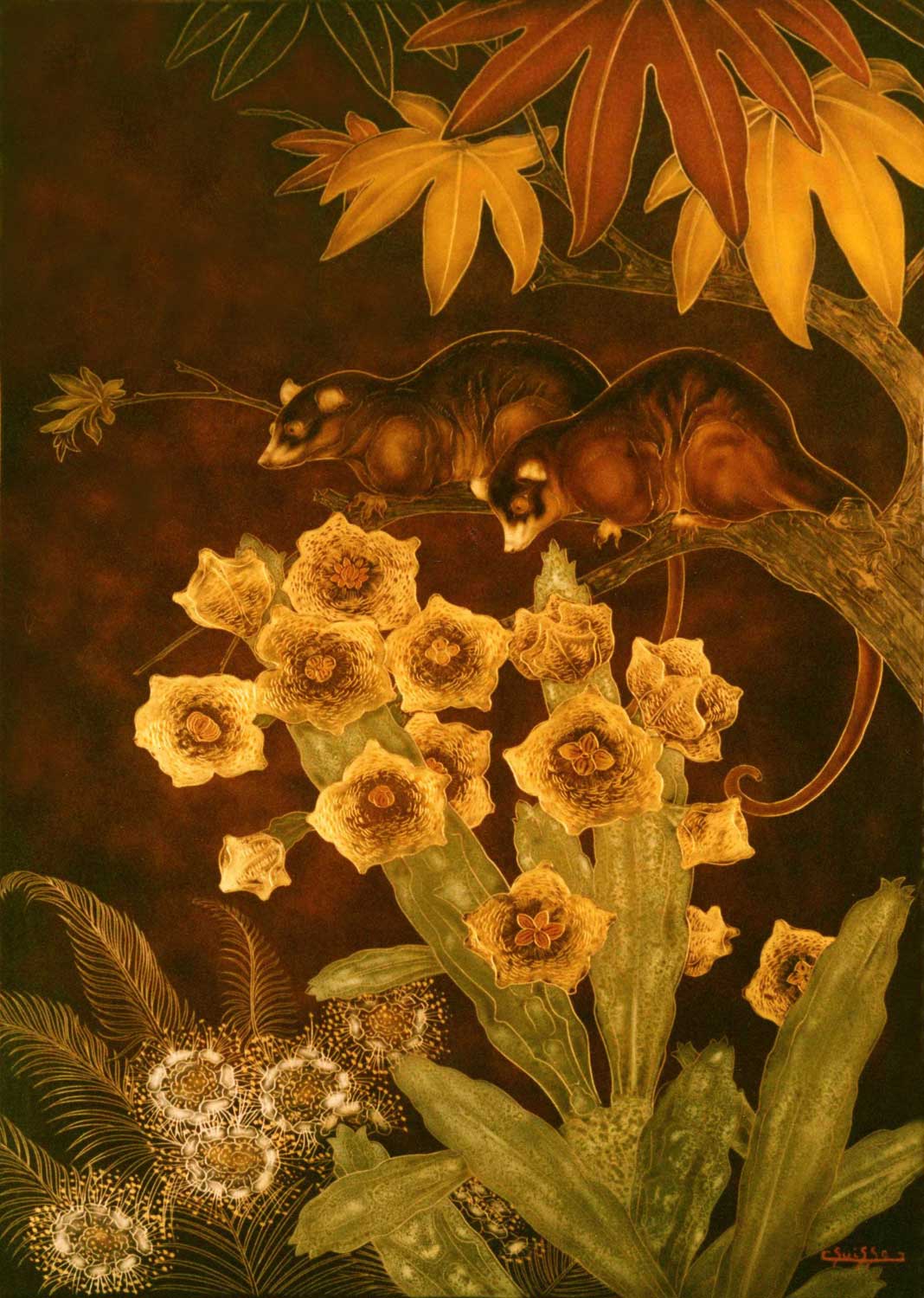 Couple de Sarigues. 1950.