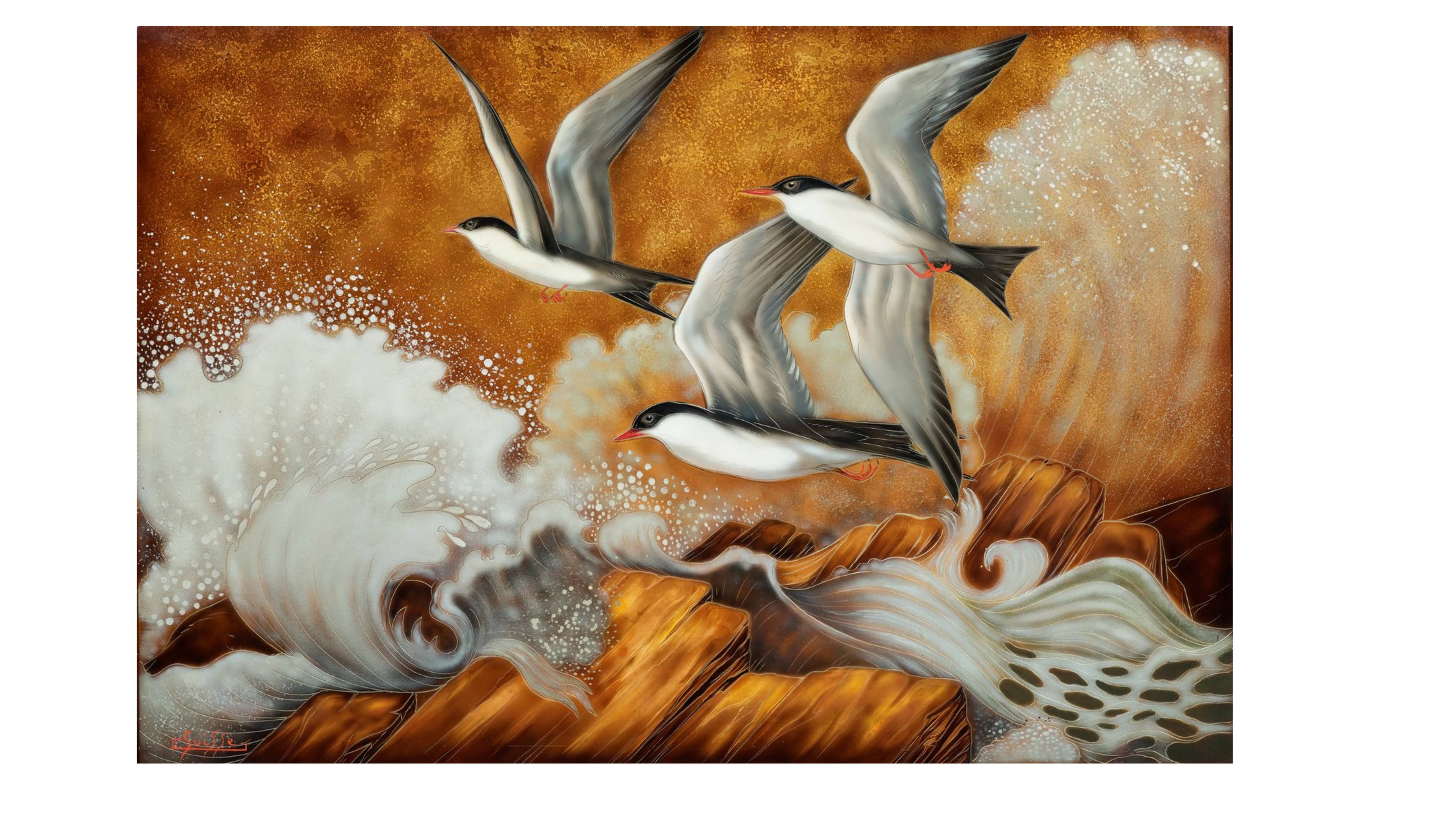 Hirondelles de mer dans la tempête