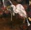 Gaston SUISSE (1896-1988) - Aigrettes. Vers 1938.