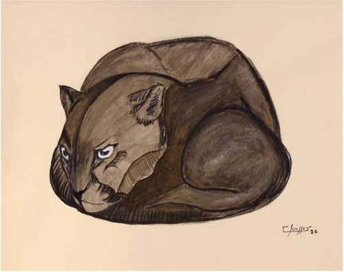 Panthère noire lovée. 1926.