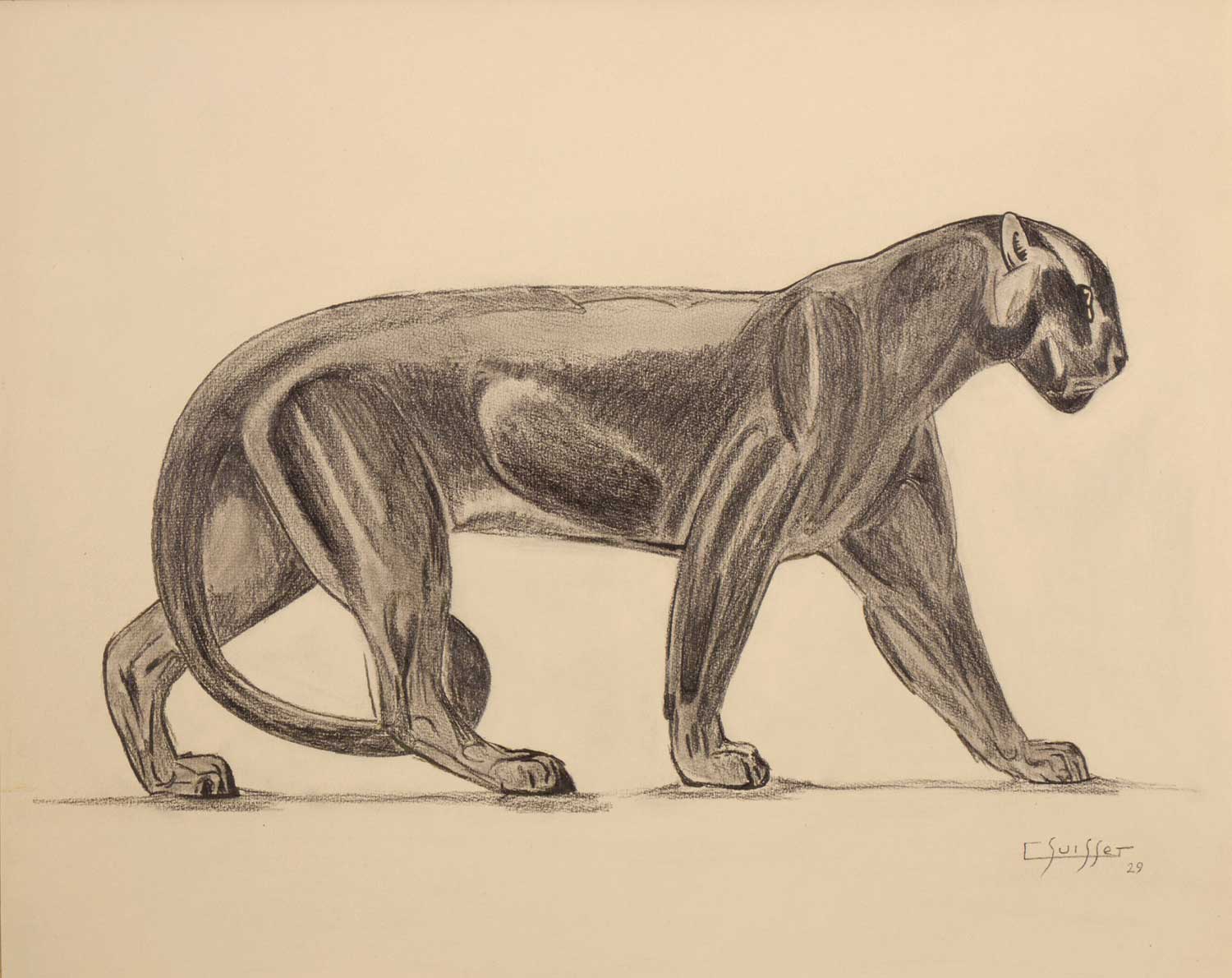Panthère noire marchant. 1929.