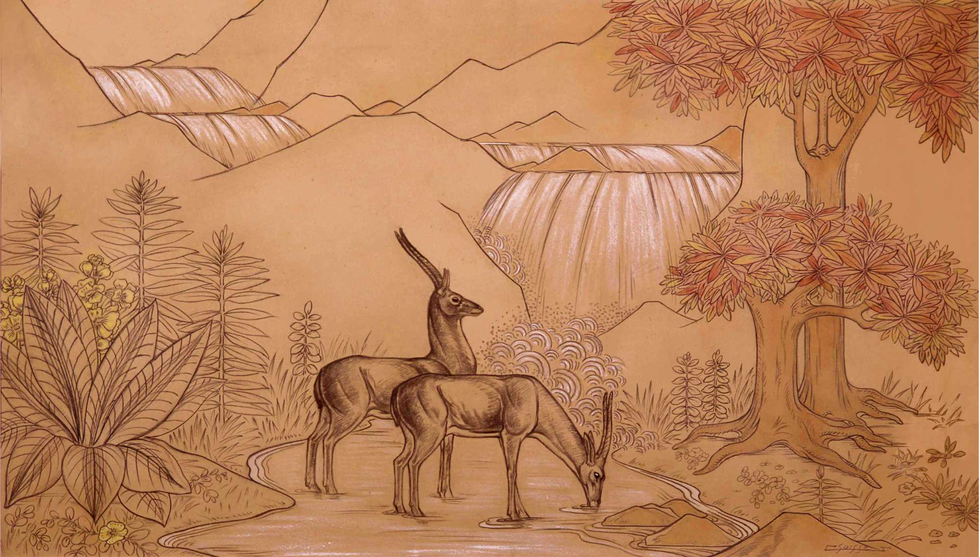 Antilopes devant une cascade