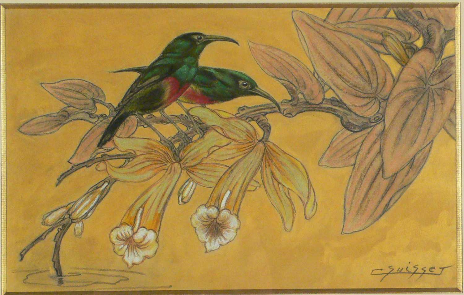 Colibris dans les fleurs de vanille
