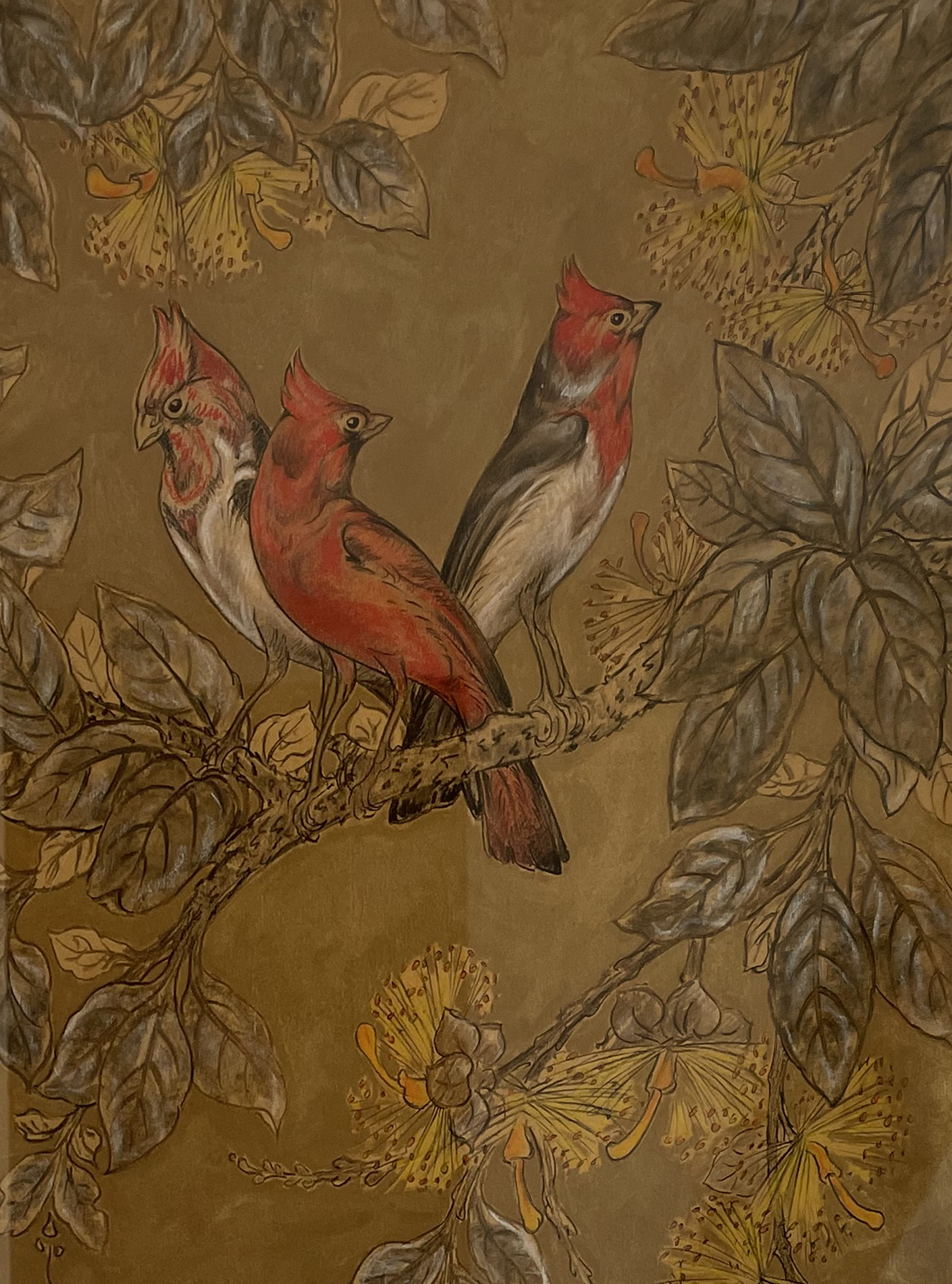 Cardinaux dans les feuillages.