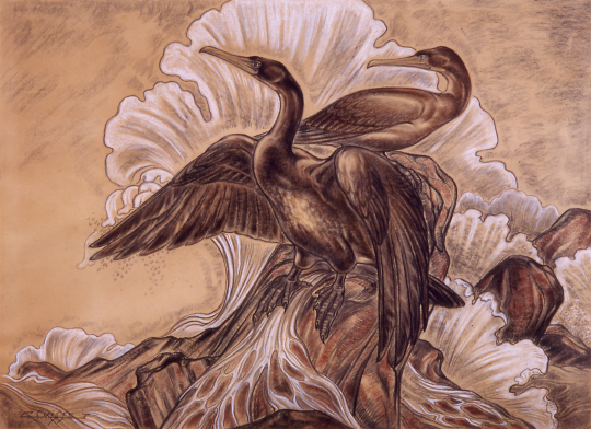 Gaston SUISSE (1896-1988) - Cormorans dans la tempête