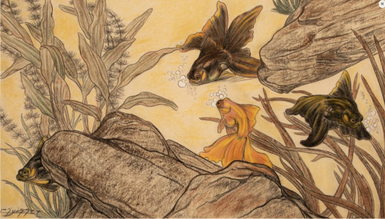 Gaston SUISSE (1896-1988) - Poissons Japonais, vers 1946.