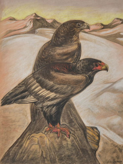 Gaston SUISSE (1896-1988) - Couple d'aigles bateleurs. 1930.