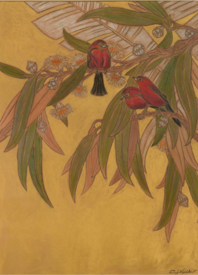 Gaston SUISSE (1896-1988) - Tangaras dans les eucalyptus. Vers 1932.