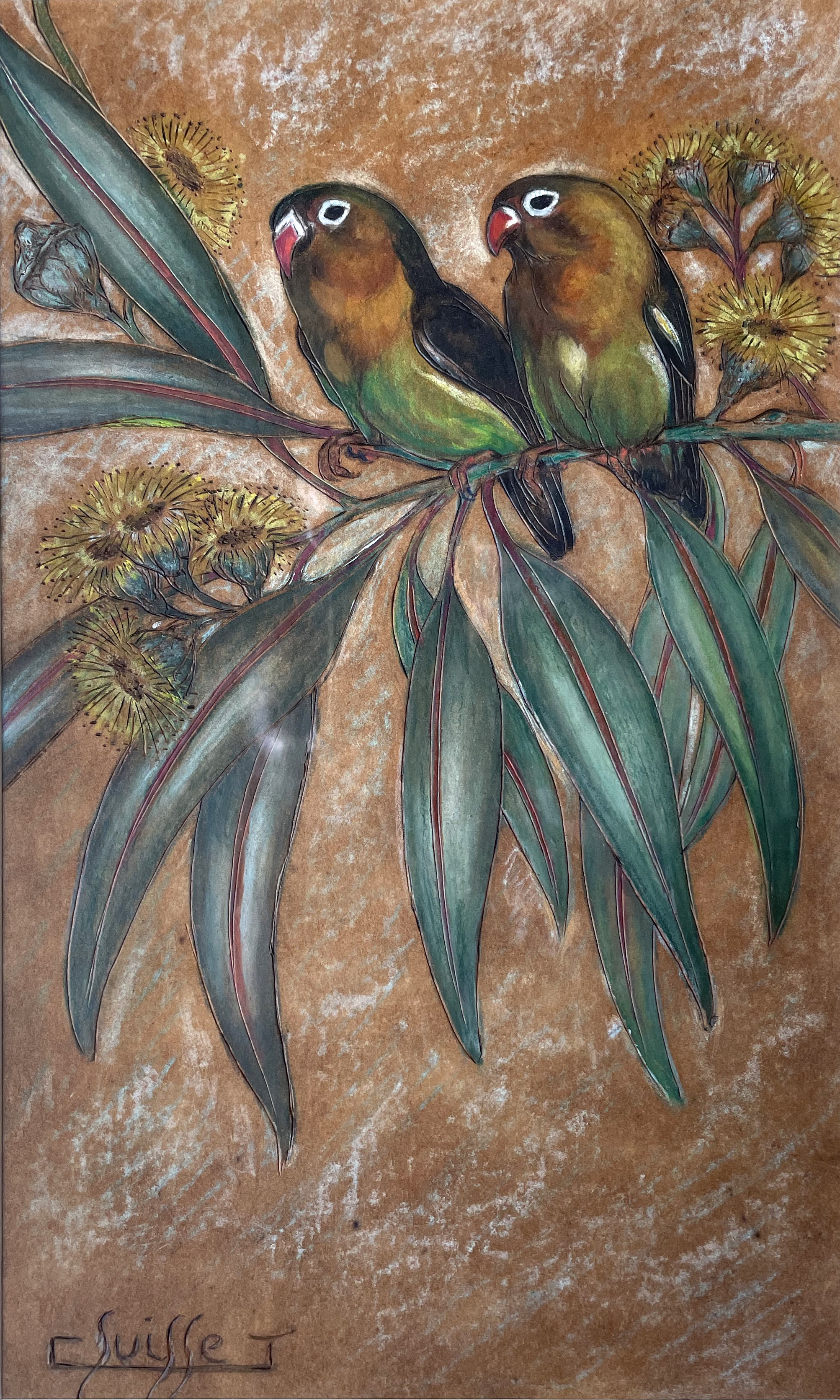 Couple d'inséparables dans les eucalyptus en fleurs