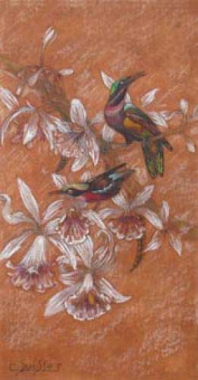 Gaston SUISSE (1896-1988) - Colibris dans les orchidées
