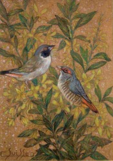 Gaston SUISSE (1896-1988) - Oiseaux branchés