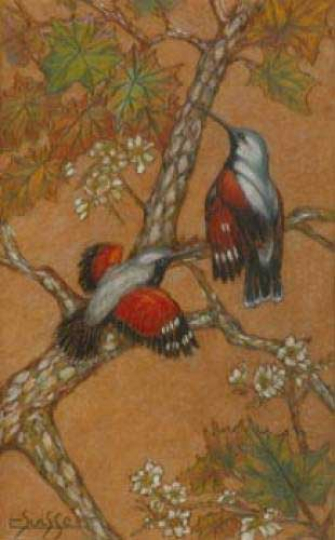 Gaston SUISSE (1896-1988) - Trichodromes branchés
