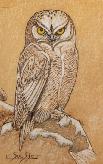 Gaston SUISSE (1896-1988) - Harfang des neiges