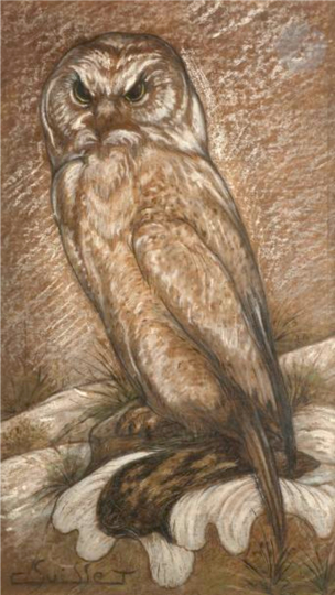 Gaston SUISSE (1896-1988) - Harfang des neiges