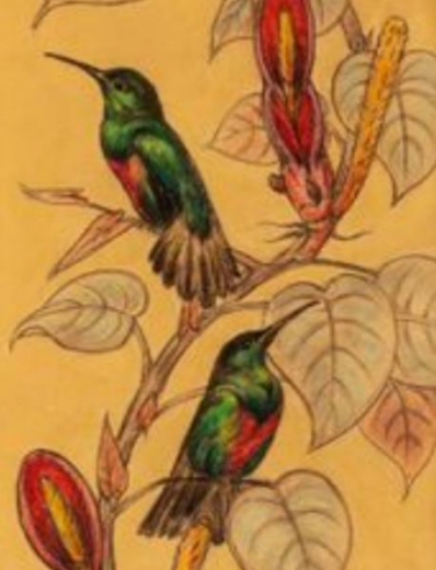 Vente par "Millon SVV" du 04/12/2019 - Arts décoratifs du XXe siècle (lot n°79)