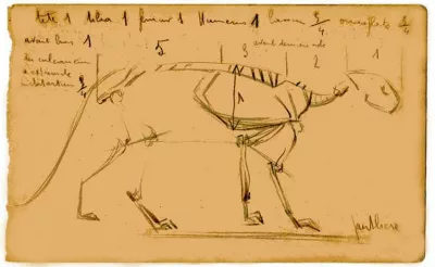 Croquis anatomique.
Proportion d'une panthère.