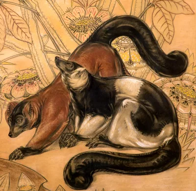 Makis (détail)
Crayon et pastel à l'huile.
Haut. 140 cm, larg. 90 cm.