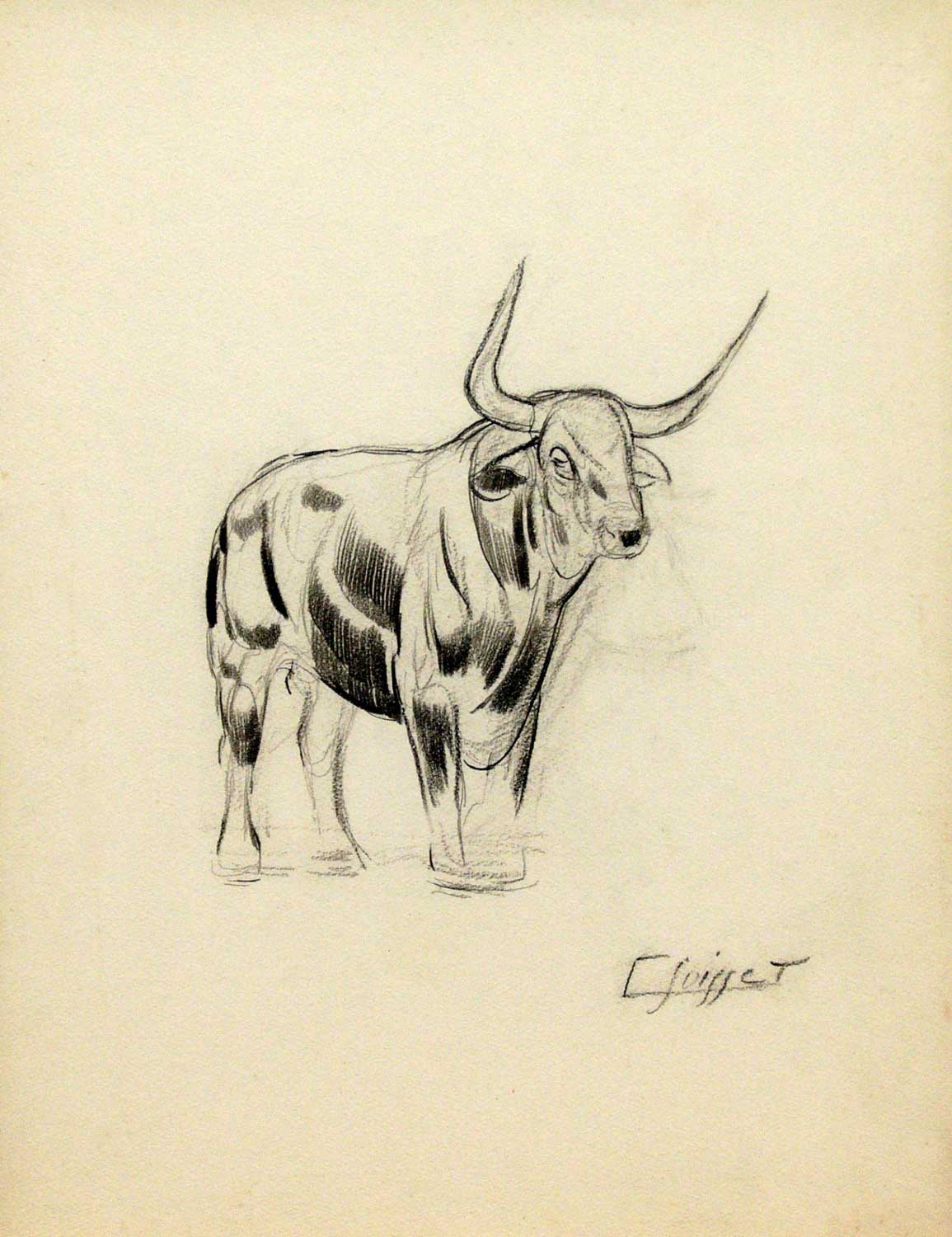 Taureau.