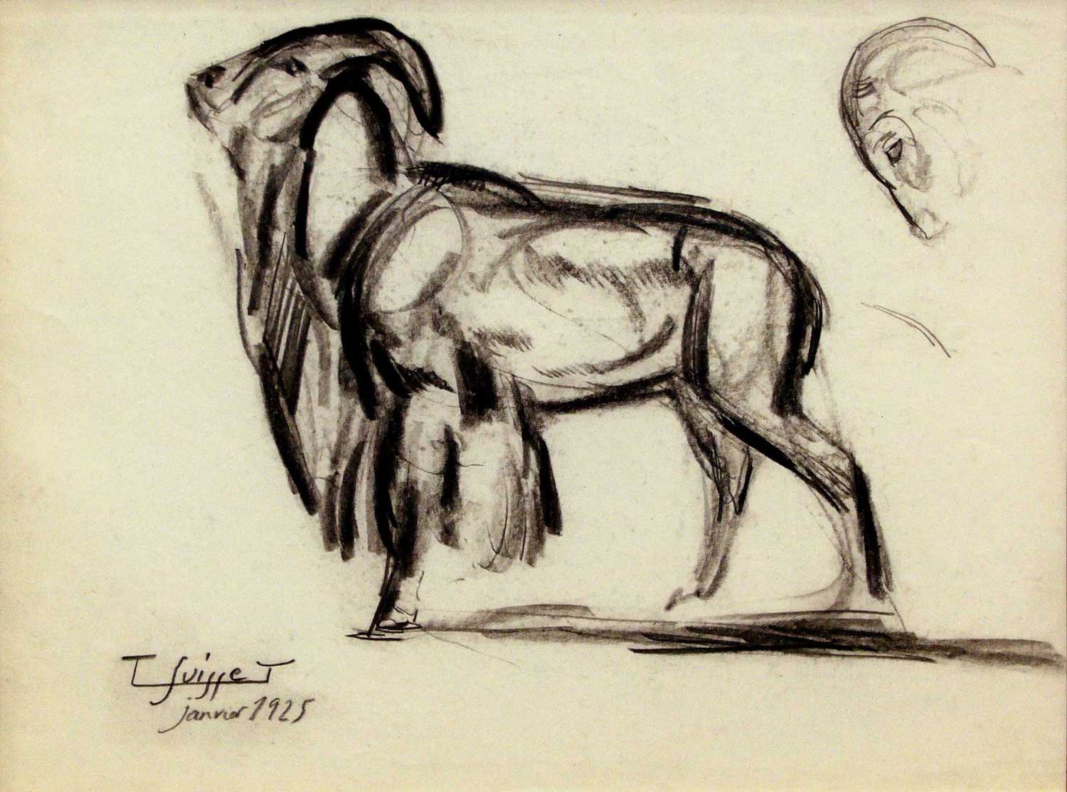 Mouflon. 1925.