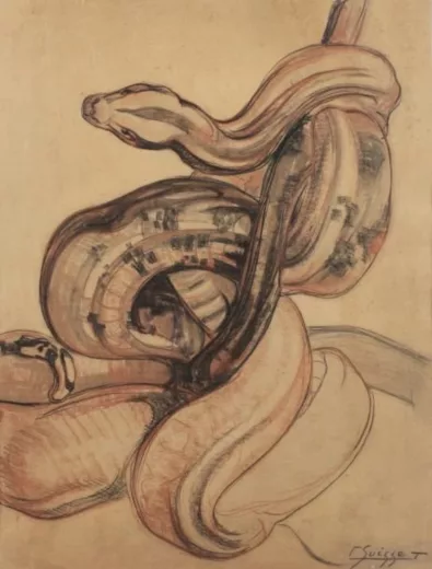 Vente par "Dogny Auction, Lausanne, Suisse" du 02/06/2026 - Python branché (lot n°10)