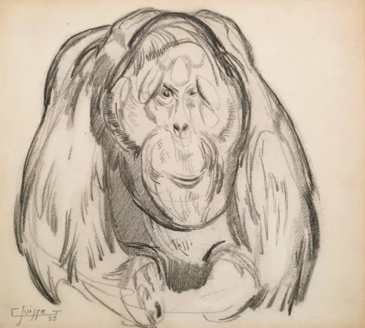 Auction by "Millon SVV Paris" du 24/03/2026 - Orang-outan (lot n°128)