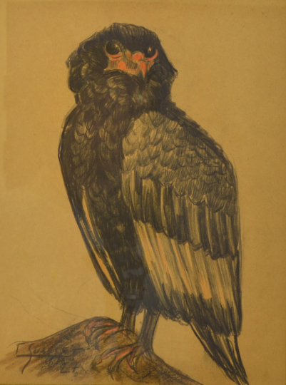 Gaston SUISSE (1896-1988) - Aigle bateleur, 1927.