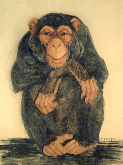 Gaston SUISSE (1896-1988) - Chimpanzé.