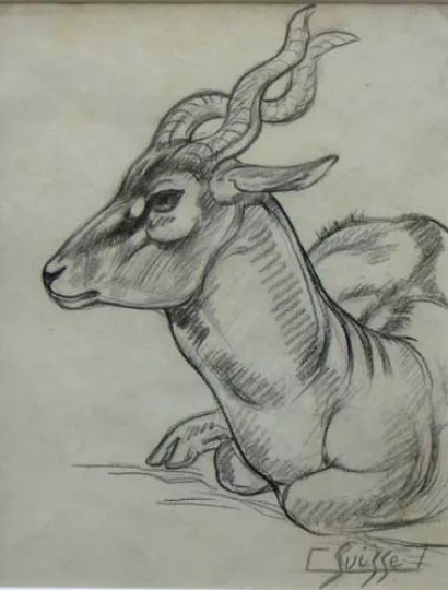 Gaston SUISSE (1896-1988) - Antilope cervicape.