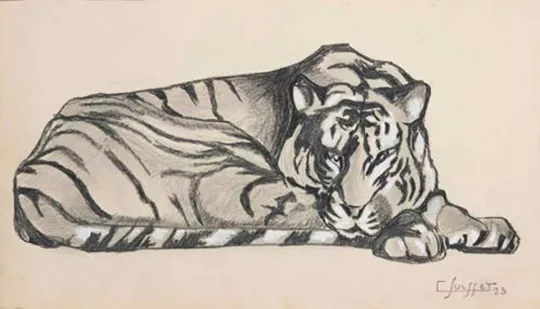 Gaston SUISSE (1896-1988) - Tigre couché, 1923. (Croquis)