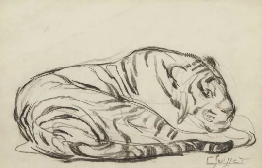 Gaston SUISSE (1896-1988) - Tigre couché.