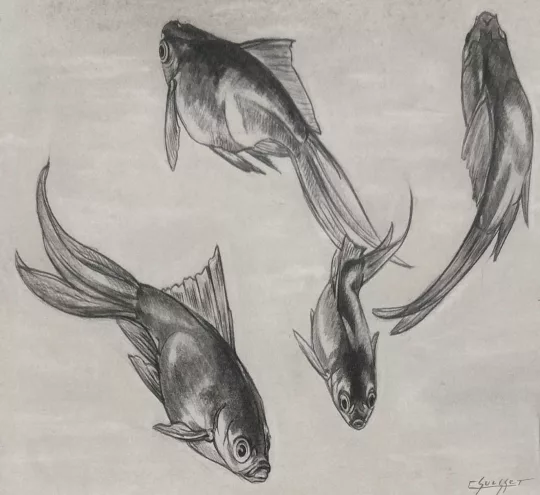 Gaston SUISSE (1896-1988) - Poissons exotiques.