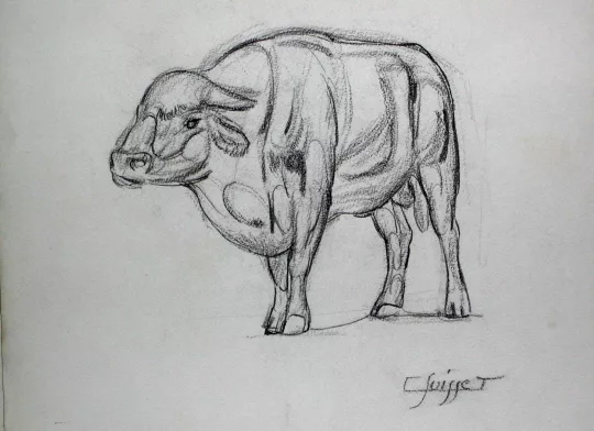 Gaston SUISSE (1896-1988) - Taureau. (1)