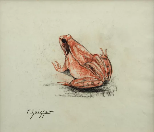 Gaston SUISSE (1896-1988) - Grenouille rousse.