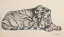Vente par "Christie's, Paris, France" du 19/05/2015 - Tigre couché, 1923. (lot n°34)