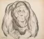 Auction by "Millon SVV Paris" du 24/03/2026 - Orang-outan (lot n°128)