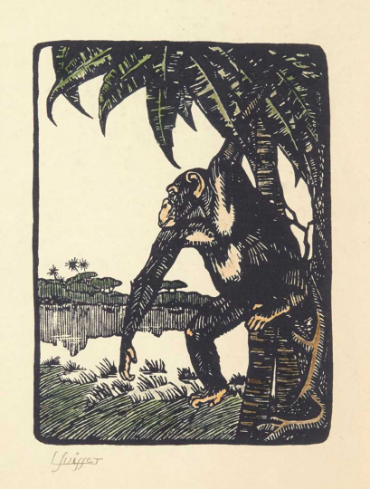Gaston SUISSE (1896-1988) - Gorille.