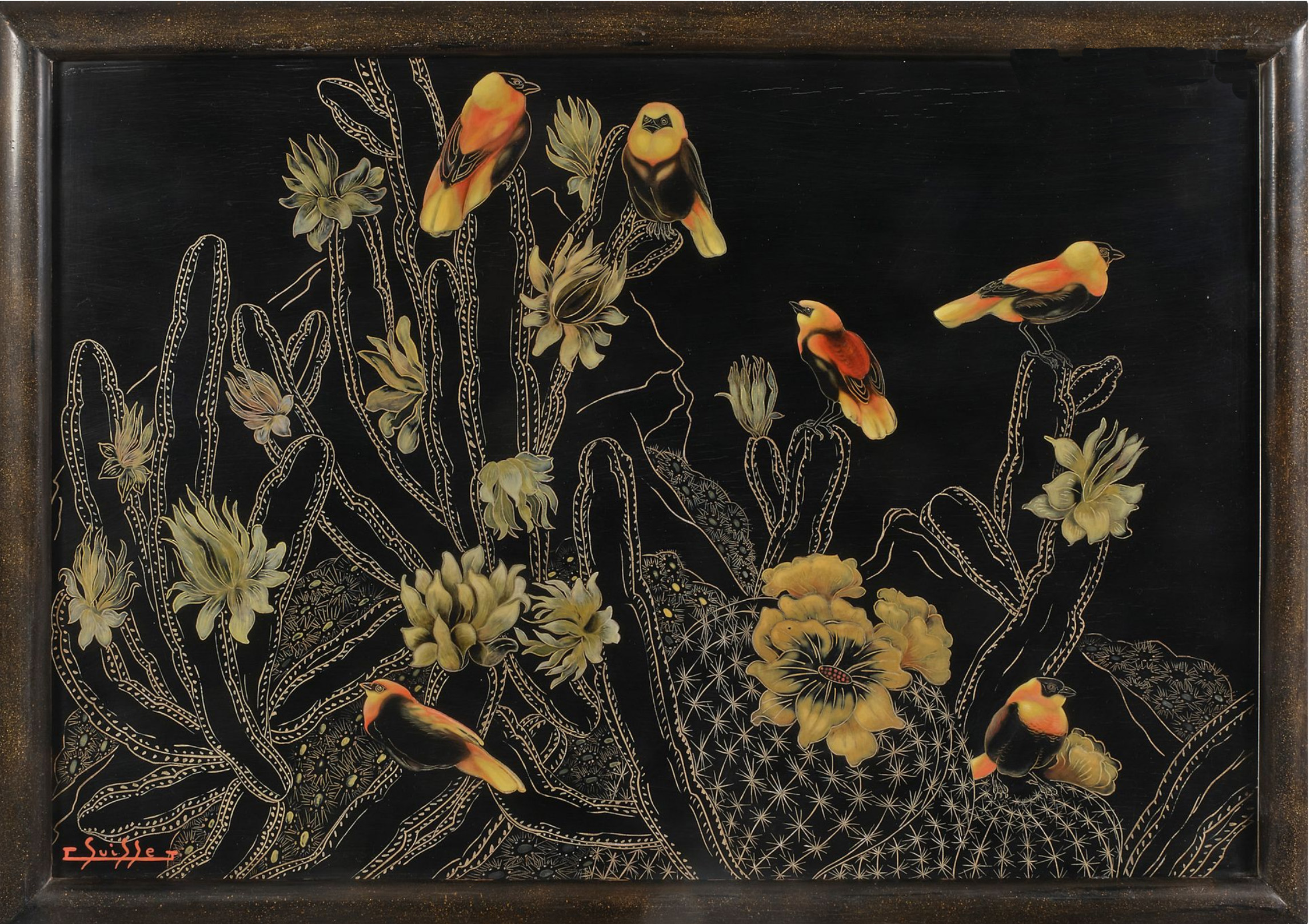 Ignicolores dans les cactées en fleurs.Vers 1939.
