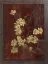 Gaston SUISSE (1896-1988) - Ignicolores dans les cactées en fleurs. (Panneaux)